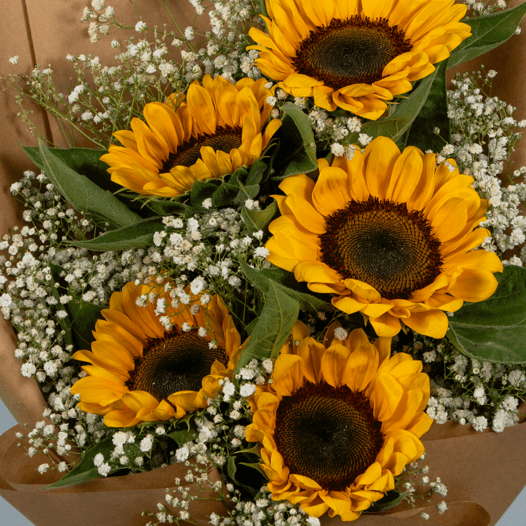 Sunflowers
